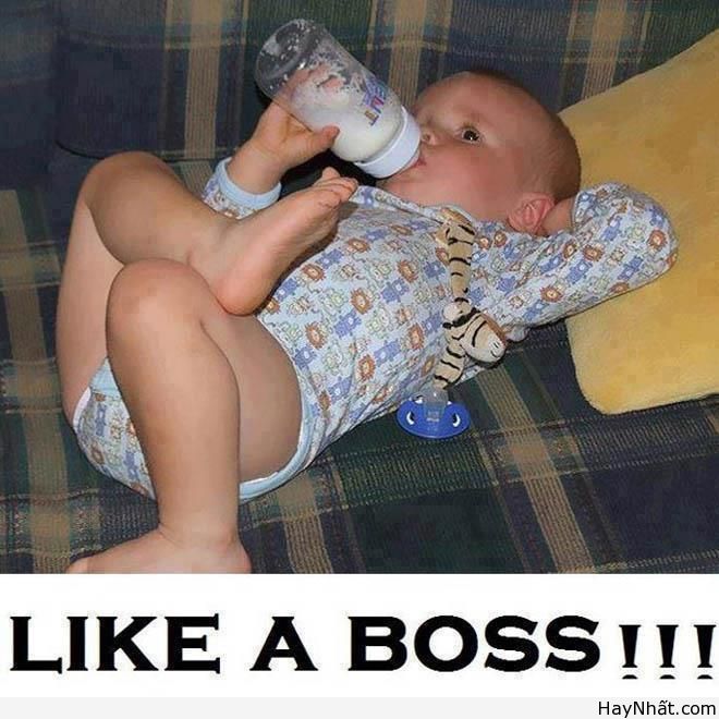 Té ghế với các funny baby 10