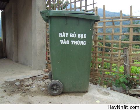 "Phong ba bão táp" trong tiếng Việt (P.1) 10