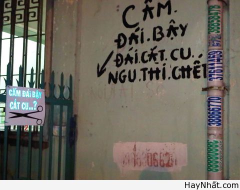 "Phong ba bão táp" trong tiếng Việt (P.1) 12