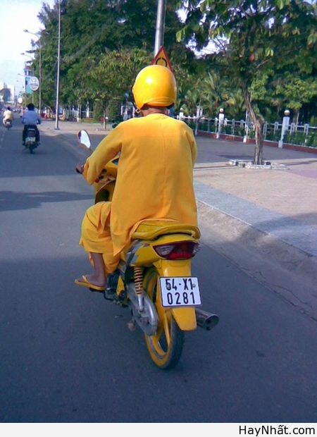 Chỉ có tại Việt Nam (Số 8) 8