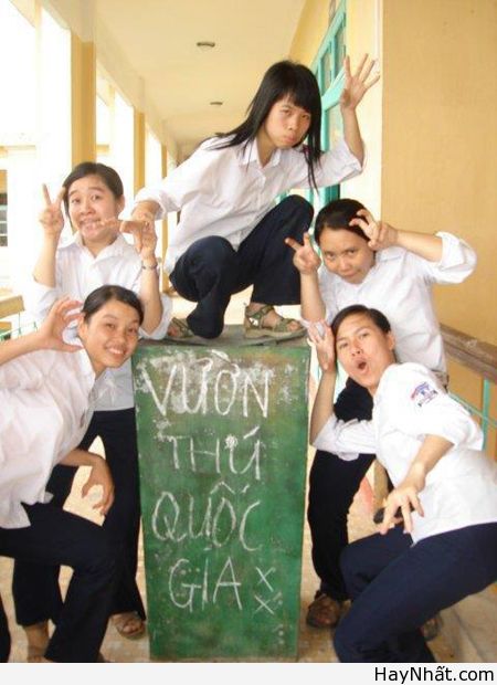 Chỉ có tại Việt Nam (Số 8) 12