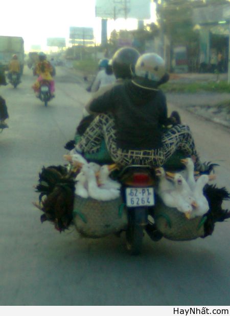 Những tay lái "lụa" (Part 1) 9