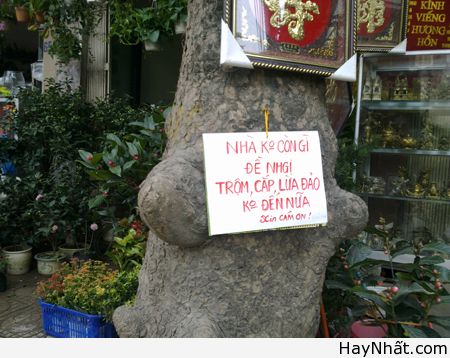 Chỉ có tại Việt Nam (Số 8) 14