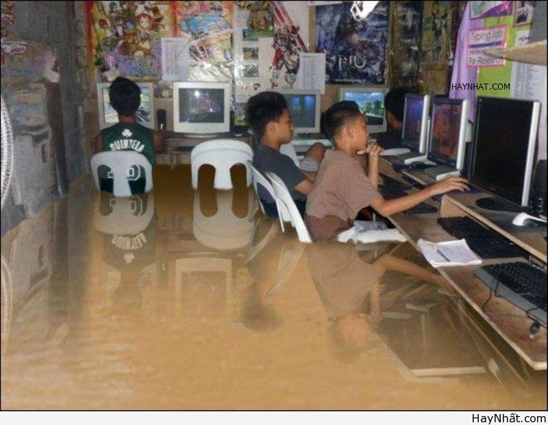 Những thú vui trong cơn lũ lụt 10