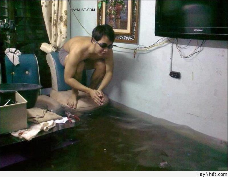 Những thú vui trong cơn lũ lụt 14