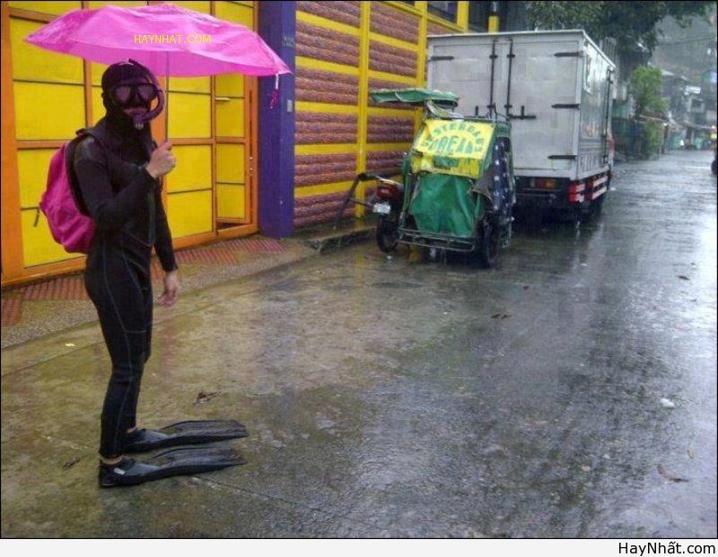 Những thú vui trong cơn lũ lụt 13