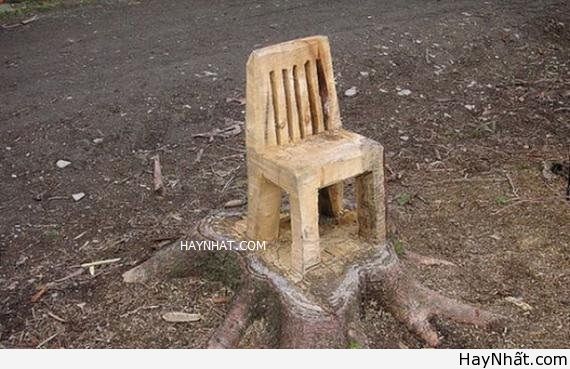 Những "phát minh" không đụng hàng 11