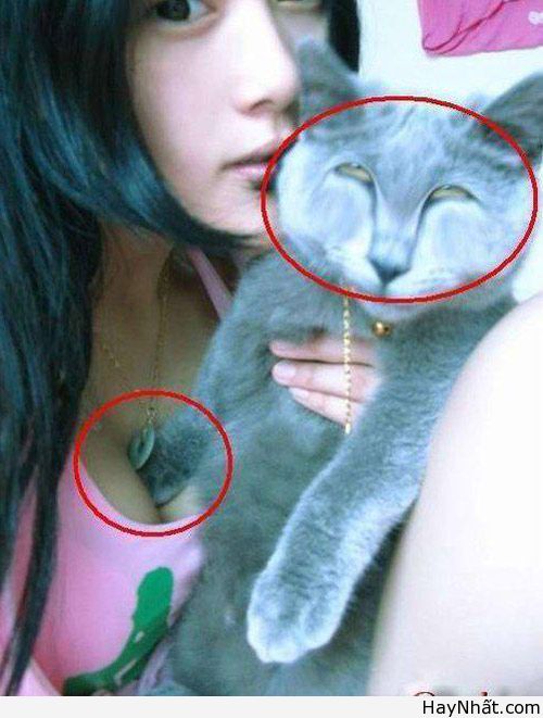 Hình Ảnh Hài Tháng 10/2012 20