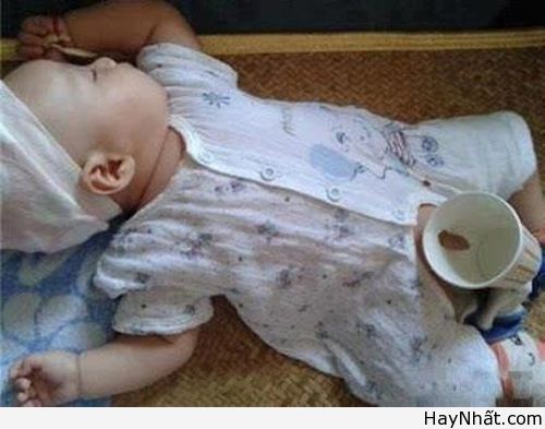 Hình Ảnh Hài Tháng 10/2012 11