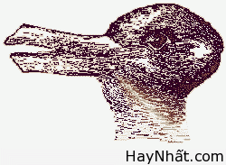 Bộ sưu tập hình ảnh gây ảo giác (P.2) 30