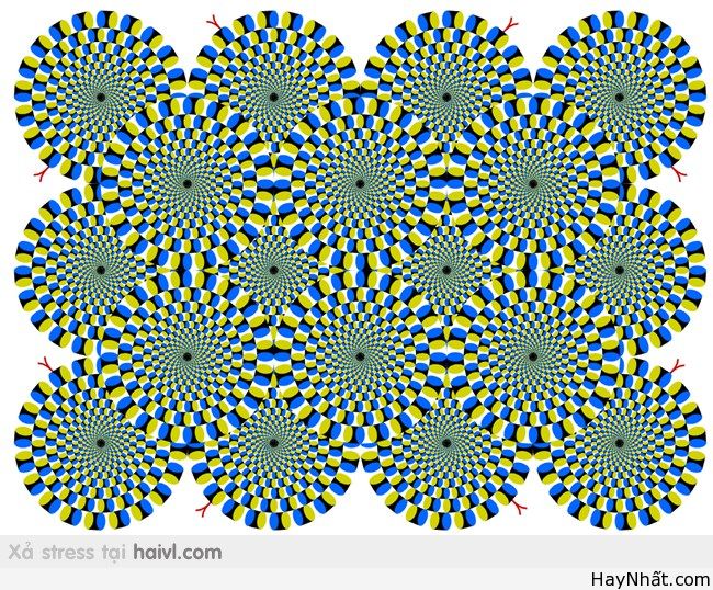 Bộ sưu tập hình ảnh gây ảo giác (P.2) 31