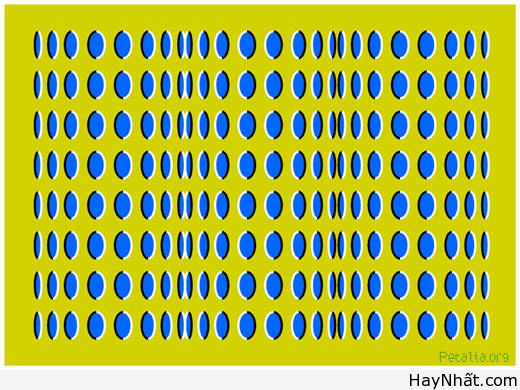 Bộ sưu tập hình ảnh gây ảo giác (P.2) 33