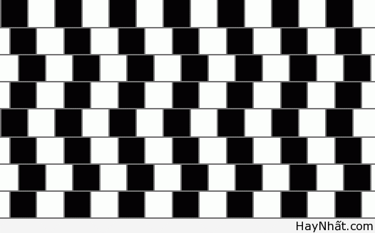 Bộ sưu tập hình ảnh gây ảo giác (P.1) 26