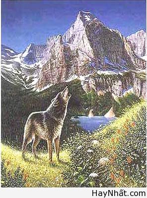 Bộ sưu tập hình ảnh gây ảo giác (P.1) 27