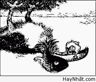 Bộ sưu tập hình ảnh gây ảo giác (P.3) 24