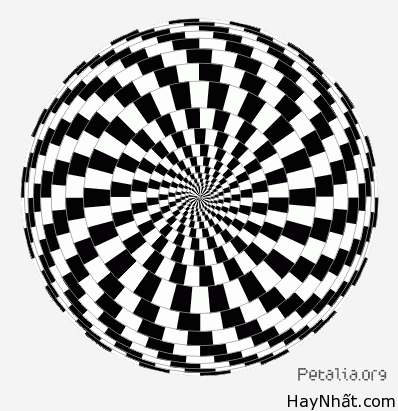 Bộ sưu tập hình ảnh gây ảo giác (P.3) 28