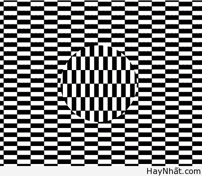 Bộ sưu tập hình ảnh gây ảo giác (P.3) 30