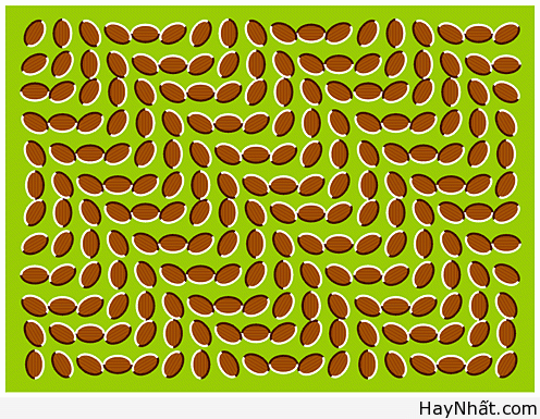 Bộ sưu tập hình ảnh gây ảo giác (P.3) 31