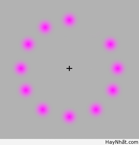 Bộ sưu tập hình ảnh gây ảo giác (P.3) 32