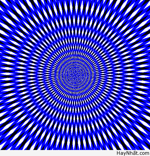 Bộ sưu tập hình ảnh gây ảo giác (P.3) 34