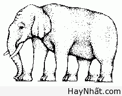 Bộ sưu tập hình ảnh gây ảo giác (P.1) 29