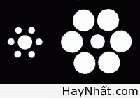 Bộ sưu tập hình ảnh gây ảo giác (P.1) 37