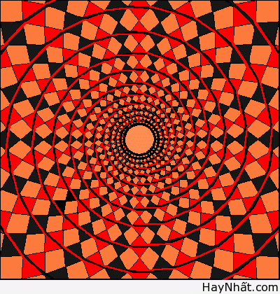 Bộ sưu tập hình ảnh gây ảo giác (P.1) 39