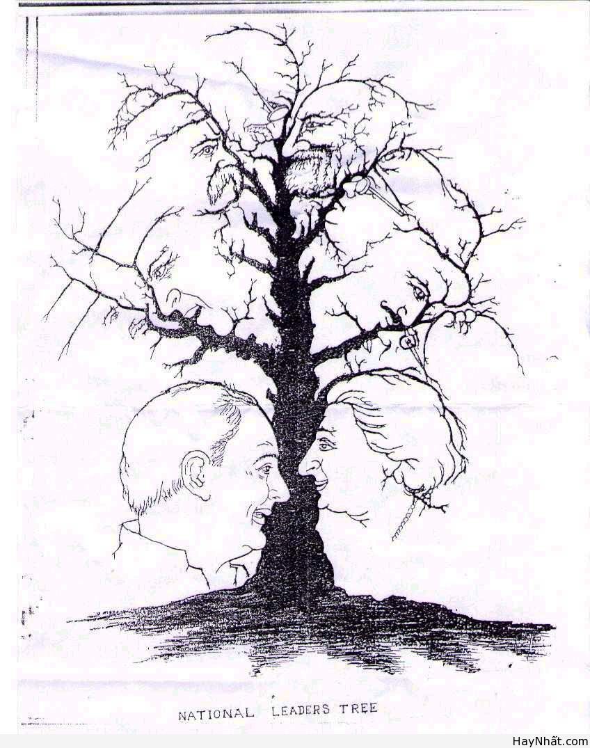 Bộ sưu tập hình ảnh gây ảo giác (P.1) 40