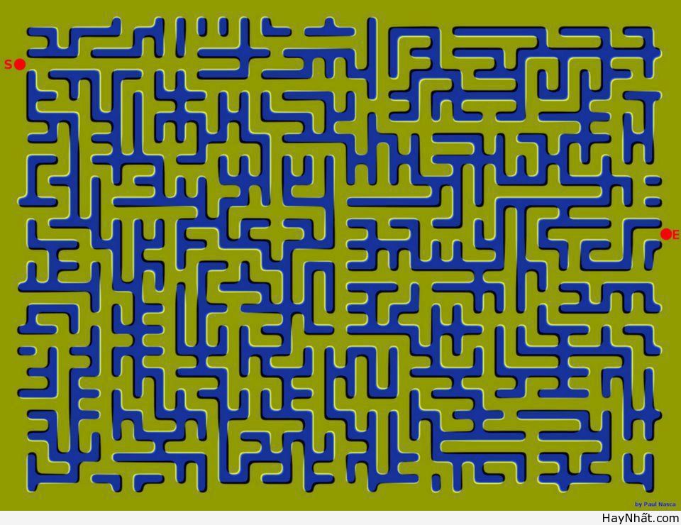 Bộ sưu tập hình ảnh gây ảo giác (P.2) 19