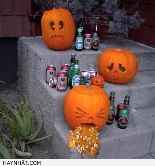 Hình Ảnh Halloween Cực Vui 11