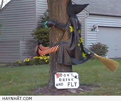 Hình Ảnh Halloween Cực Vui 19