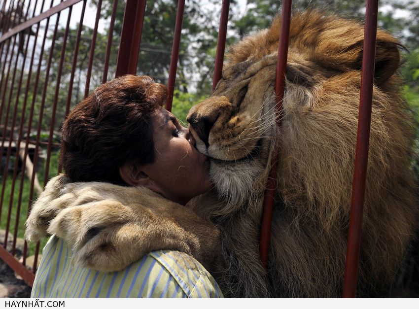 Những Nụ Hôn Không Thể Quên 20