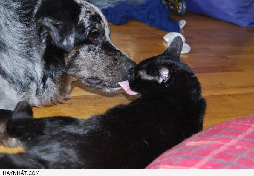 Những Nụ Hôn Không Thể Quên 29