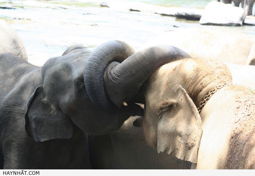 Những Nụ Hôn Không Thể Quên 30