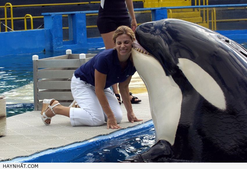 Những Nụ Hôn Không Thể Quên 16