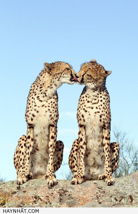 Những Nụ Hôn Không Thể Quên 21