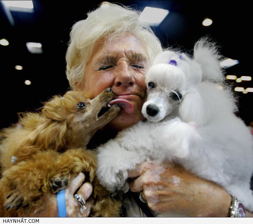 Những Nụ Hôn Không Thể Quên 22