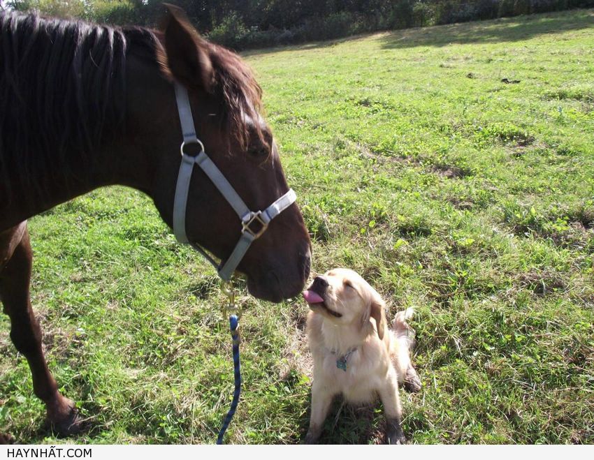 Những Nụ Hôn Không Thể Quên 23