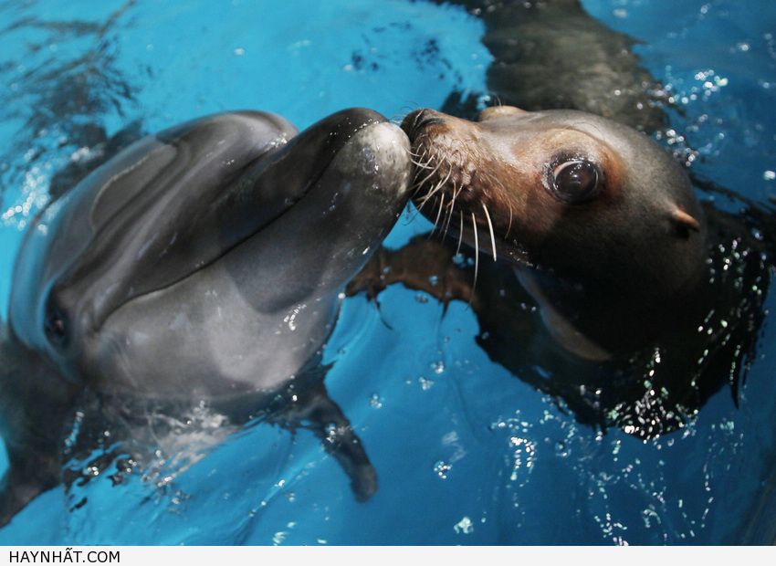 Những Nụ Hôn Không Thể Quên 24