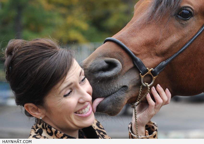 Những Nụ Hôn Không Thể Quên 25