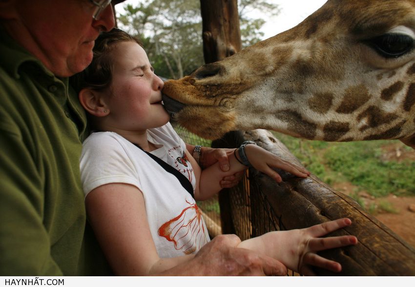 Những Nụ Hôn Không Thể Quên 26