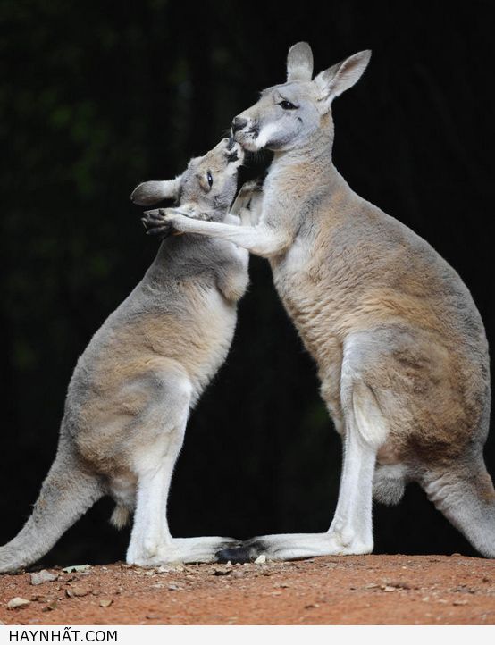 Những Nụ Hôn Không Thể Quên 17