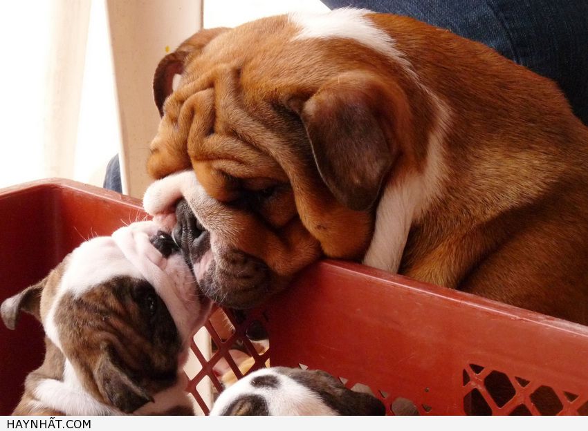 Những Nụ Hôn Không Thể Quên 19