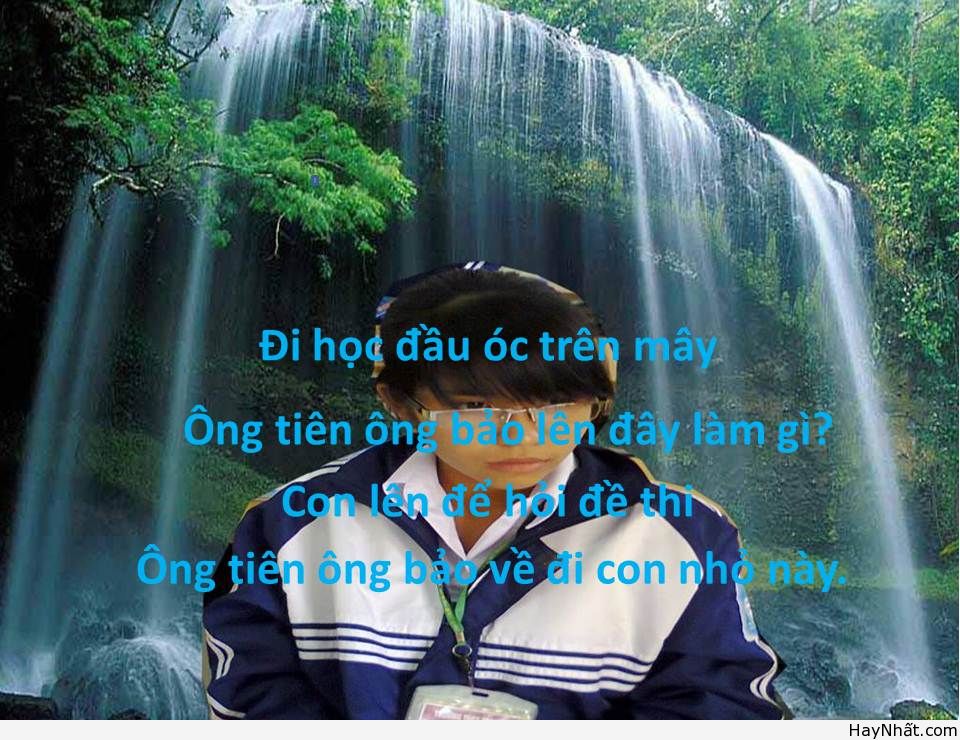 Lên đây làm gì? 4