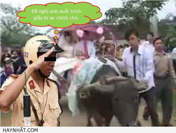 Chán lắm rồi các bác ơi....! 4