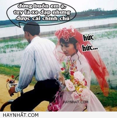 Xe chinh chu