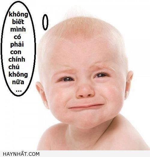 Hiệu ứng "Chính Tên, Chính Chủ". 4