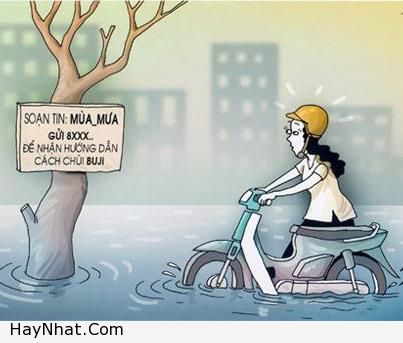 hinh-anh-vui-cuoi-hai-huoc