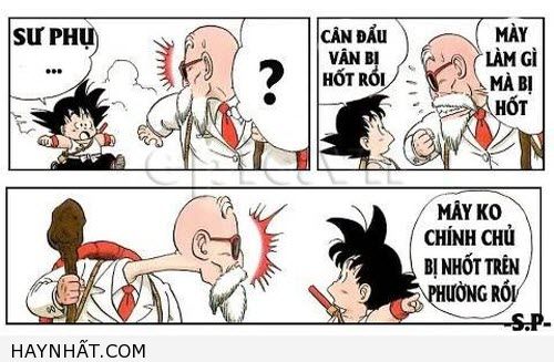 xe-chinh-chu