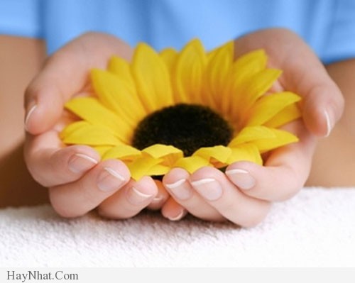 cau-chuyen-ve-cho-va-nhan